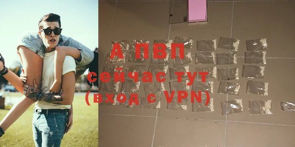a pvp Абаза