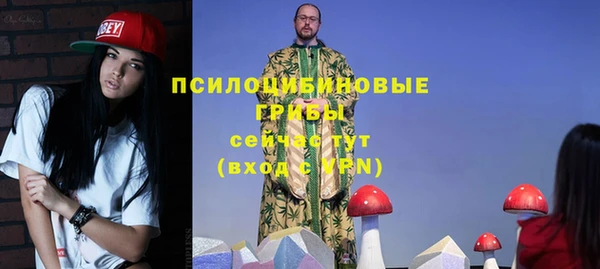 ГАЛЛЮЦИНОГЕННЫЕ ГРИБЫ Абдулино