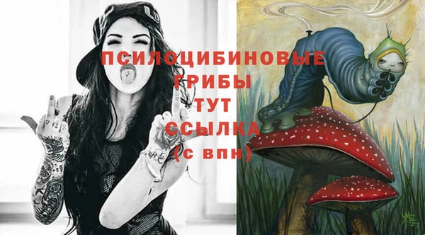 a pvp Абаза