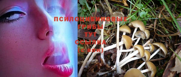 эйфоретик Алексин
