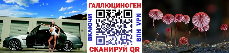 Псилоцибиновые грибы прущие грибы Цоци-Юрт