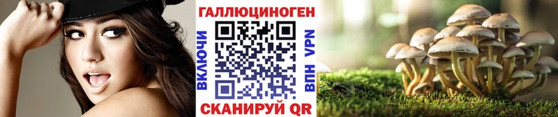 кракен tor  Цоци-Юрт  Псилоцибиновые грибы ЛСД 