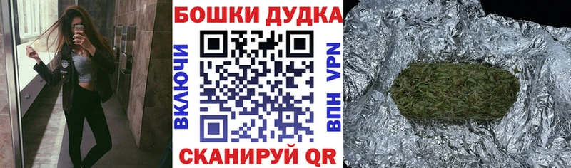 Бошки марихуана Amnesia  Цоци-Юрт 